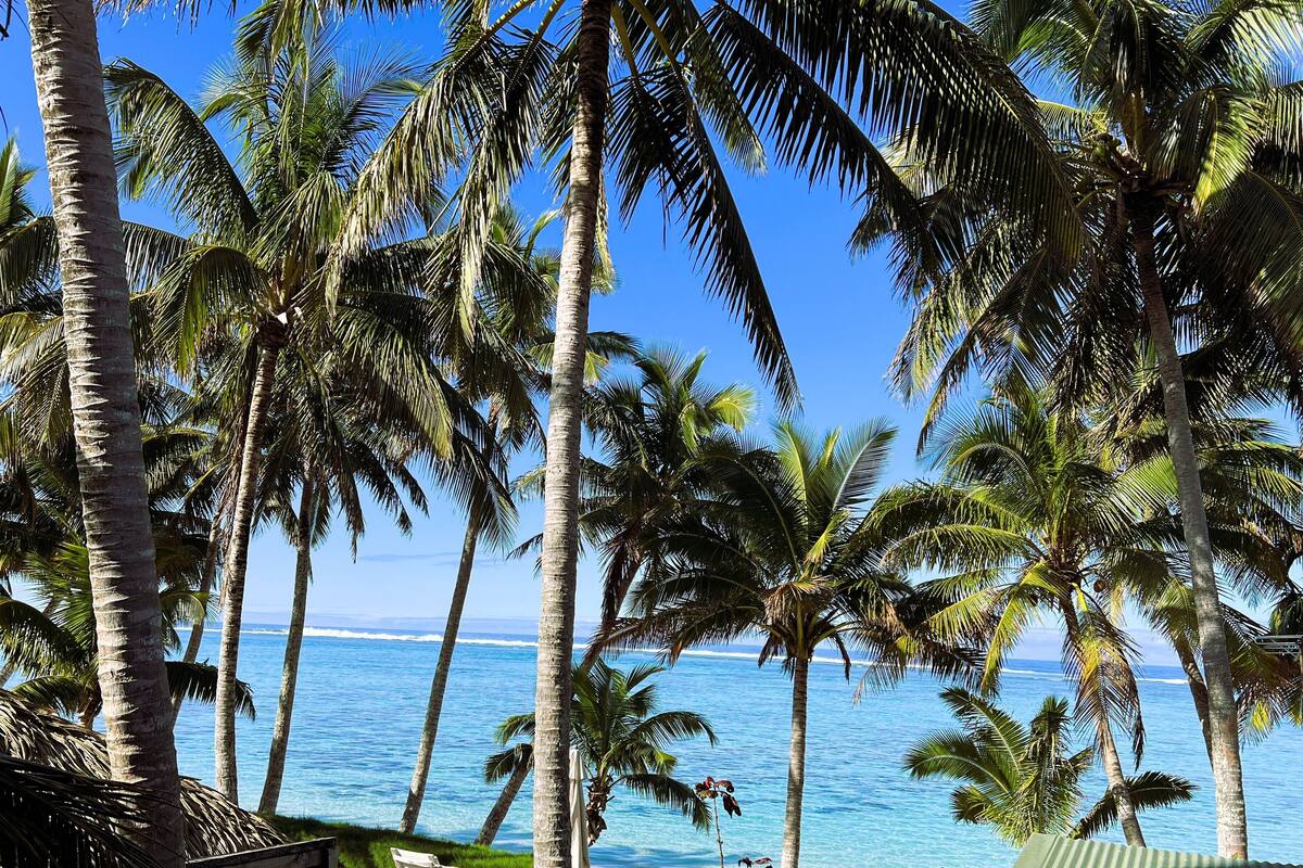 A beach with palm trees and a view of the ocean.