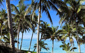 A beach with palm trees and a view of the ocean. - Te Rito Lagoon Villas (Rarotonga)