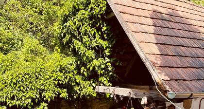 A 100-year-old farmhouse located next to the Bükk National Park.