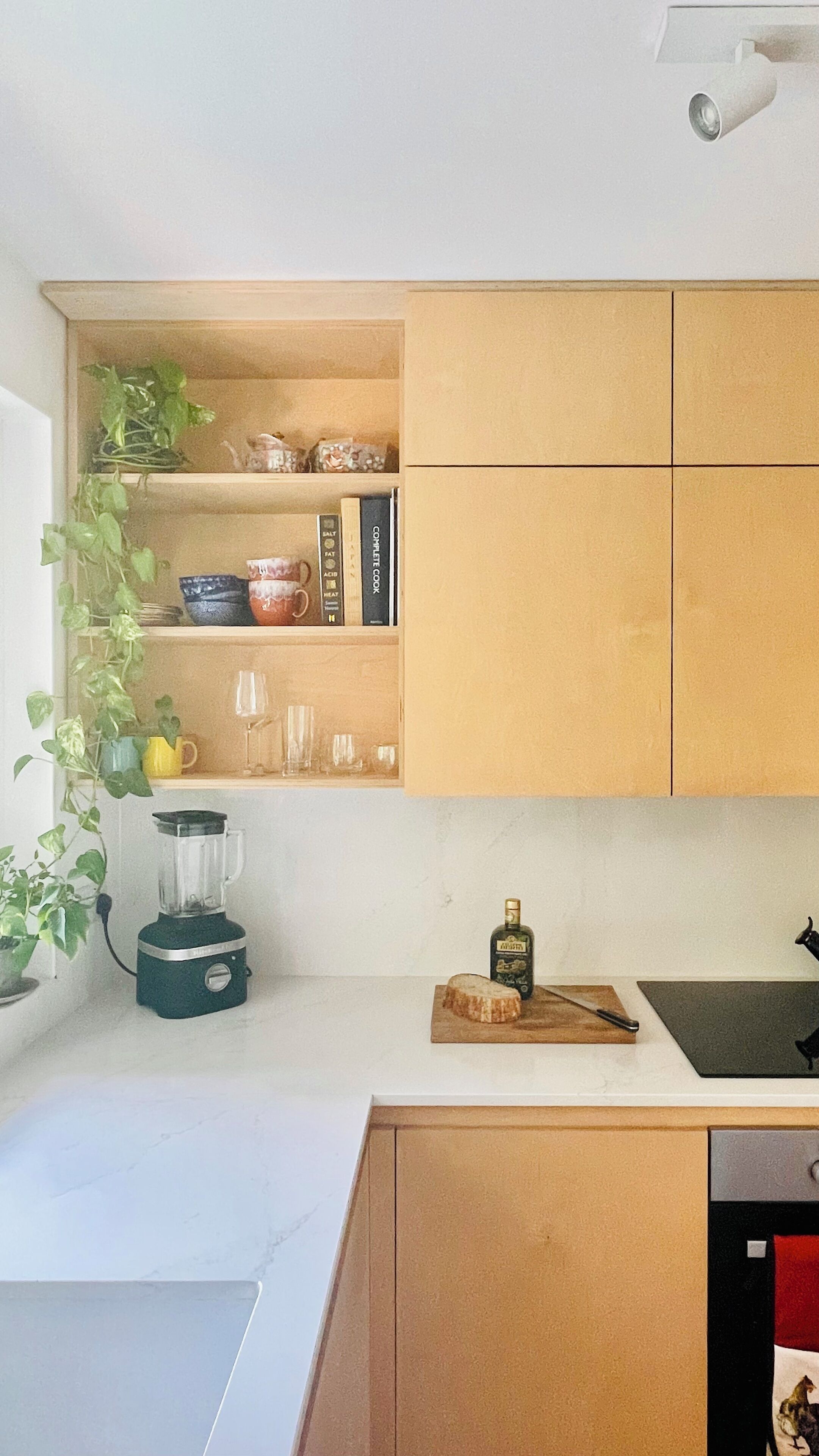 Kühlschrank, Ofen, Herdplatte, Geschirrspüler