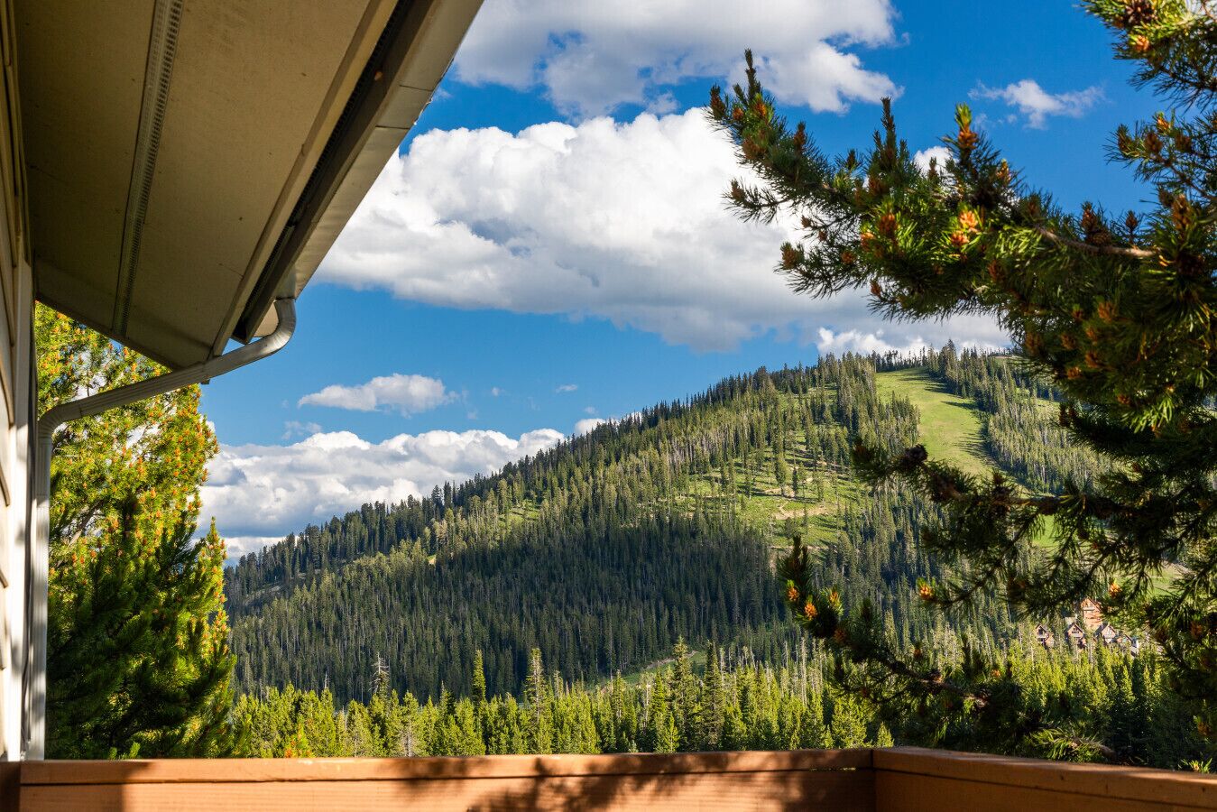 A view from a balcony overlooking a forested mountain with a clear sky.