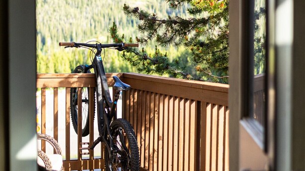 Une terrasse en bois avec un vélo et une chaise, donnant sur une zone boisée.