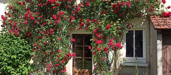 Charming Family Home with Garden and Ping-Pong, Near Castles and Hiking Trails