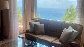 TV connectée, cheminée, livres