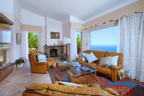 Smart TV, caminetto, libri