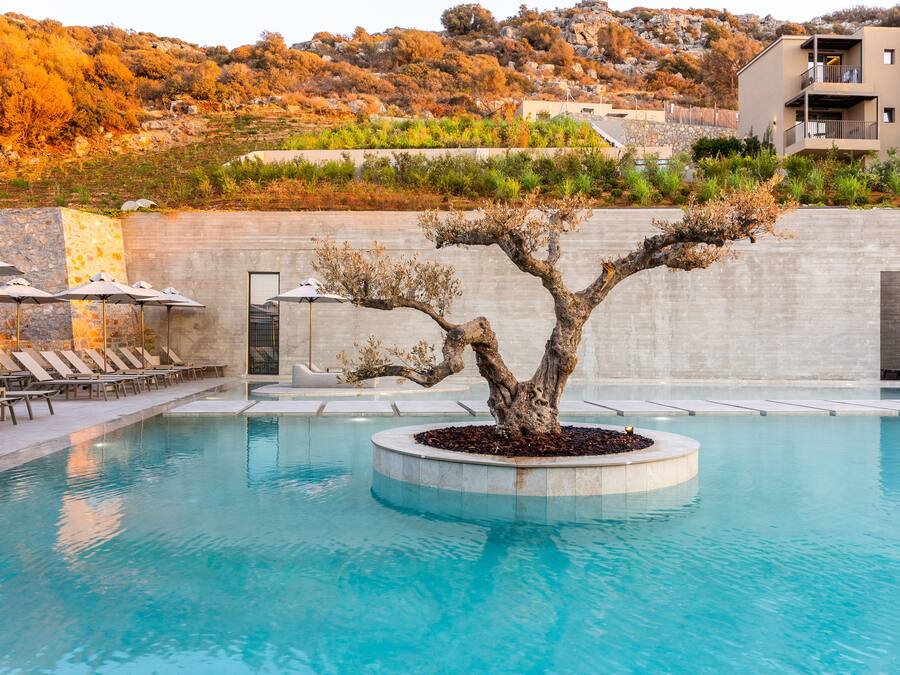 Seasonal outdoor pool, open 9:00 AM to 7:00 PM, pool umbrellas
