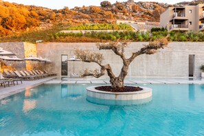 Una piscina amb gandules i un bonsai al centre.
