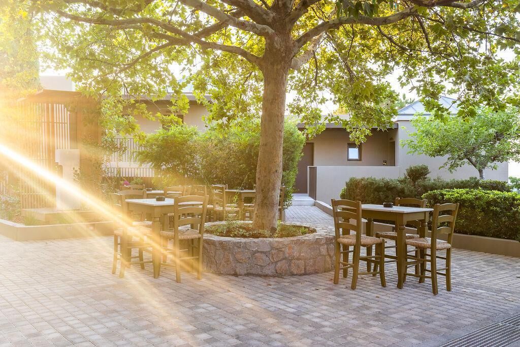 Eine Außenpatio mit einer runden Sitzgruppe aus Stein, umgeben von einem Baum und einem Gebäude im Hintergrund.