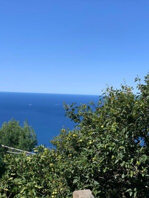 Vista a la playa o al mar