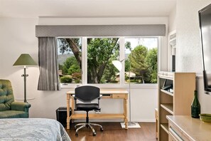 A room with a bed, a desk, a chair, a lamp, a TV, and a window with a view of trees.