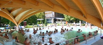 Holiday apartment near the thermal baths with WLAN and air conditioning