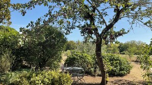 A garden with a metal bench, a tree, and various shrubs. - Maison Dulcis (Saint-Maixant)