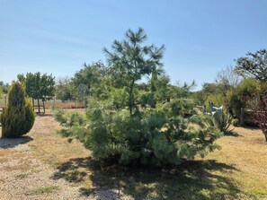 Property grounds - Maison Dulcis (Saint-Maixant)