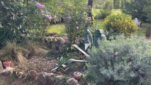 A garden with various plants, a stone wall, and a wooden fence. - Maison Dulcis (Saint-Maixant)