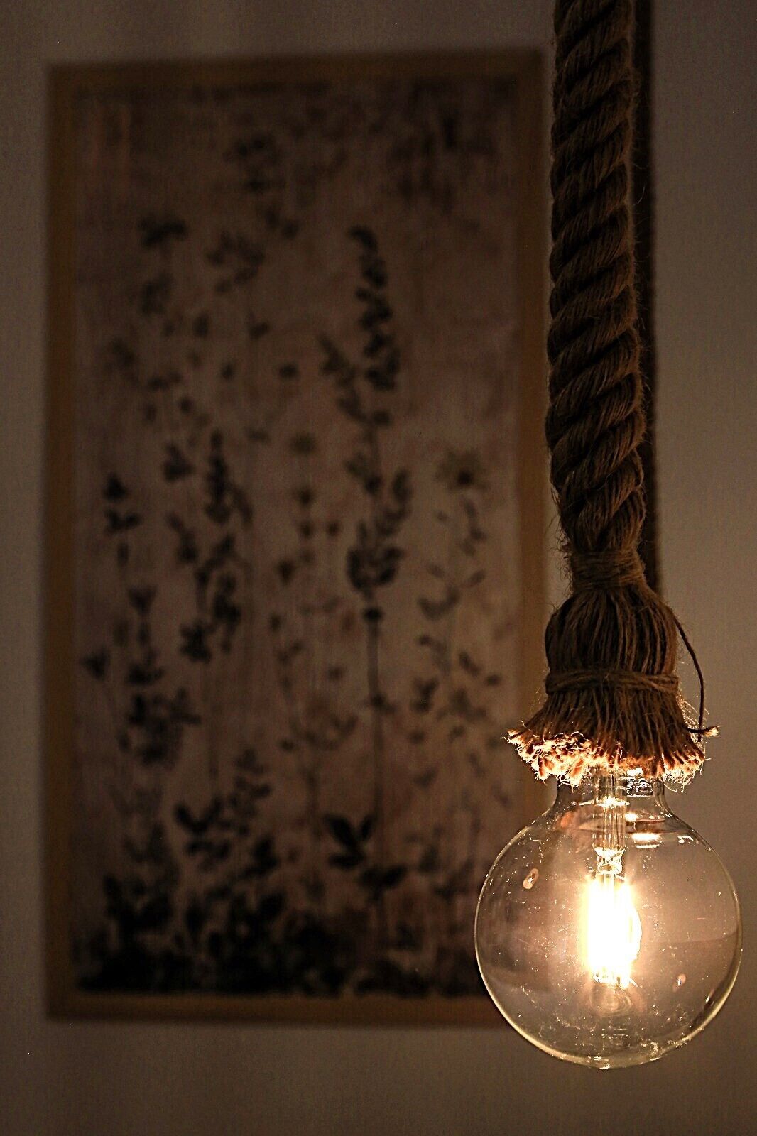 A light bulb hanging from a rope.