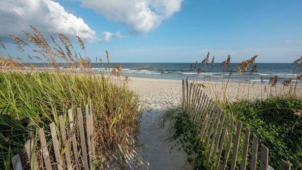 Ein Sandweg am Strand, der zum Meer führt, gesäumt von hohem Gras und Holzzaun.