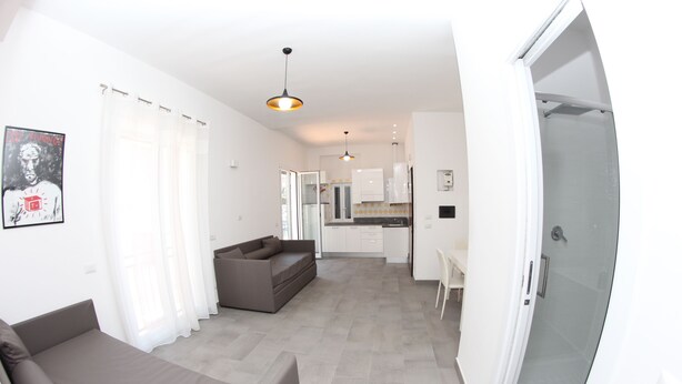 A modern apartment with a living area, kitchenette, and a glass shower.