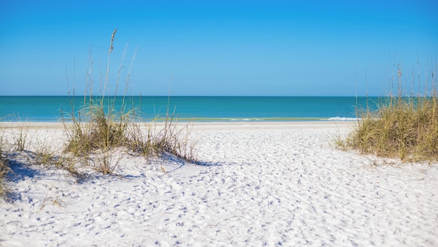 A sandy beach with clear blue sky and calm sea.