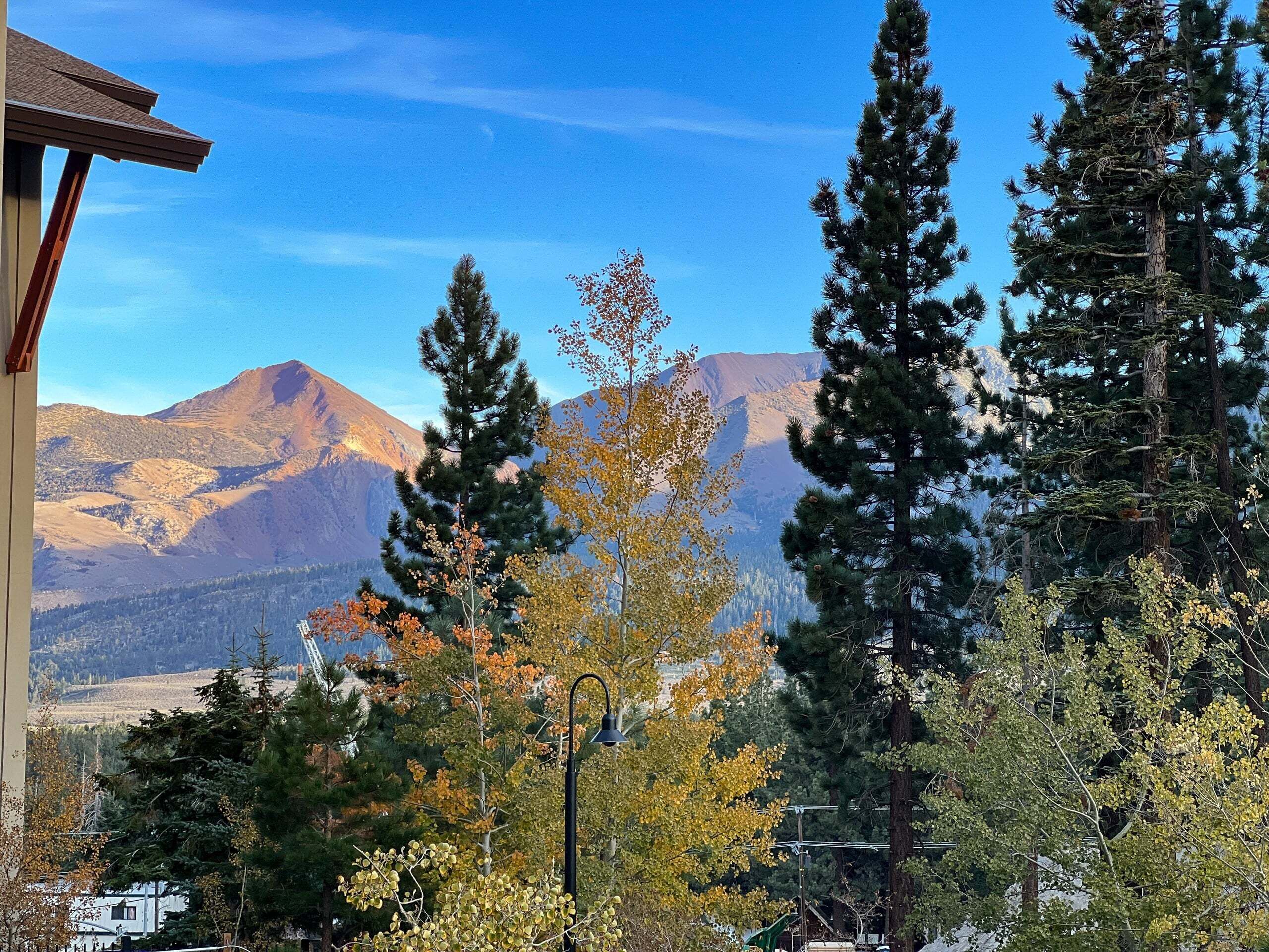 A mountain landscape with a clear sky, a building with a sloped roof, and evergreen trees.