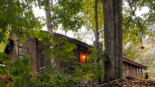 Un chalet rustique entouré d’arbres, avec un escalier en bois menant à l’entrée.