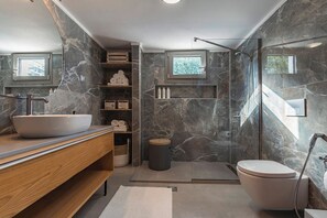 Shower, hair dryer, bidet, towels