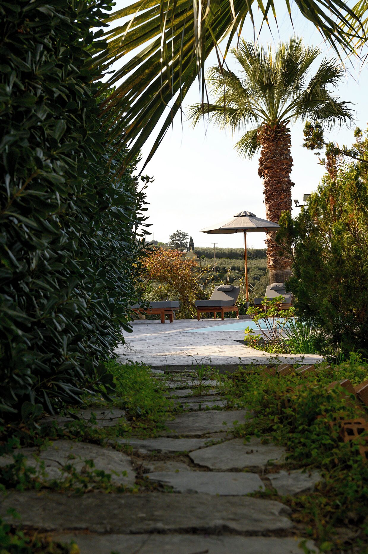 A pathway leading to a pool area with lounge chairs and a palm tree.