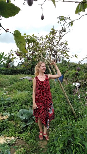 Terrain de l’hébergement 