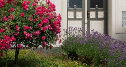 Modernes 1-Raum Apartment in Bahnhofsnähe, neu renoviert, Top-Ausstattung