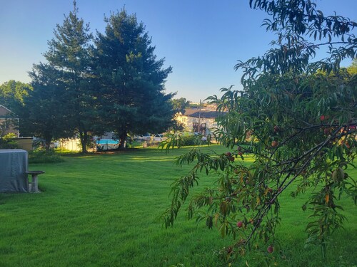 Cute little cottage surrounded by shrubs,  flowers, and peach trees.