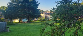 Cute little cottage surrounded by shrubs,  flowers, and peach trees.