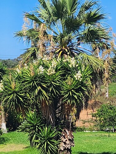 2 bedroom private vacation home in preveza