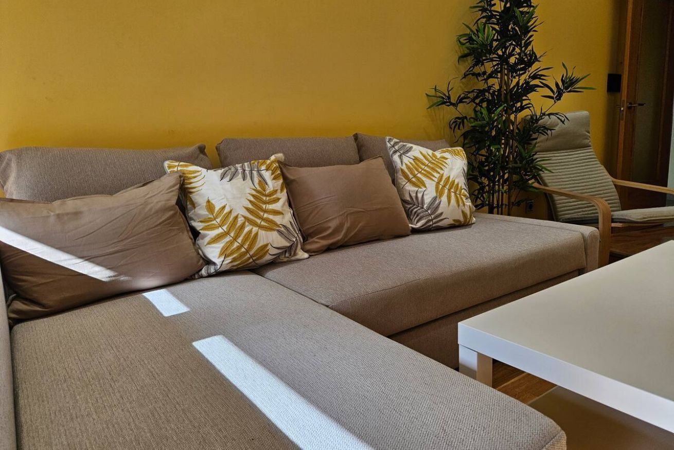 A living room with a sofa, a coffee table, and a plant.