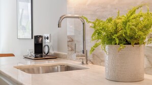 A modern kitchen with a stainless steel sink, a Krups coffee maker, and a potted fern.