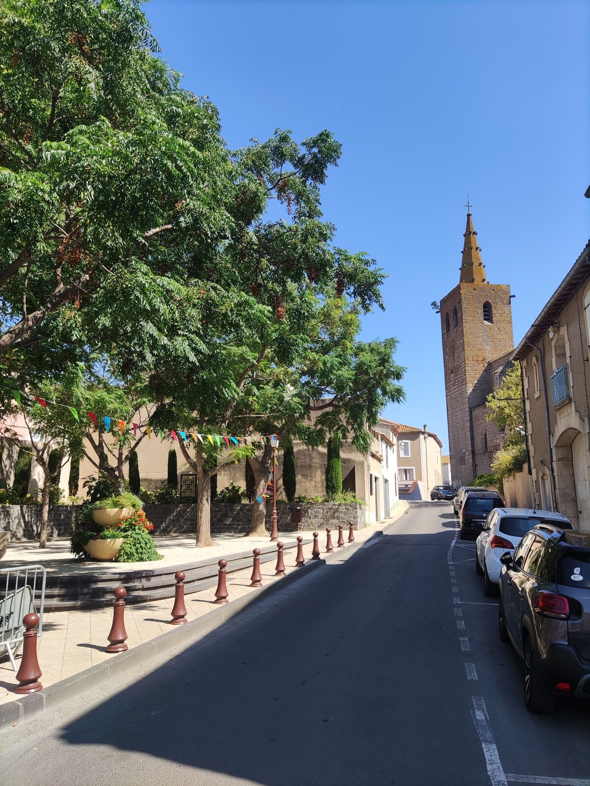 Imagen de perfil del propietario o de la propietaria