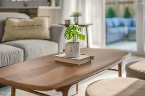 TV connectée, cheminée, livres, chaîne hi-fi