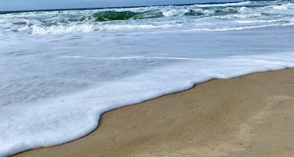 Beach house 50m from the sea with large spaces and lots of nature