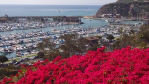 A marina with numerous boats docked, a coastal town in the background, and a prominent hill with a structure on top.