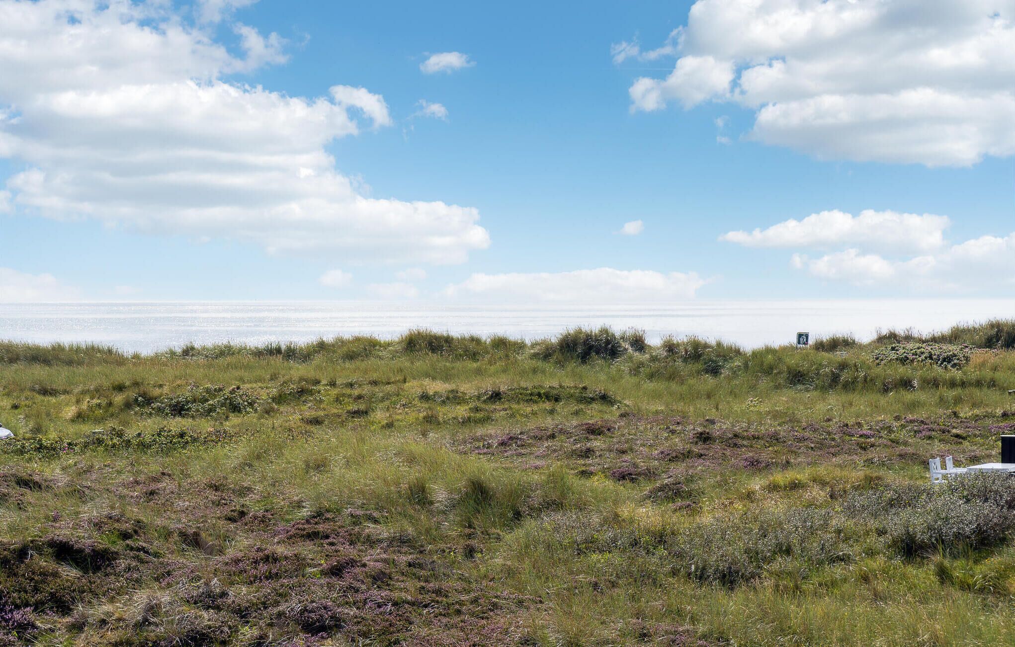 Eine Küstenlandschaft mit grüner Landschaft und blauem Himmel.
