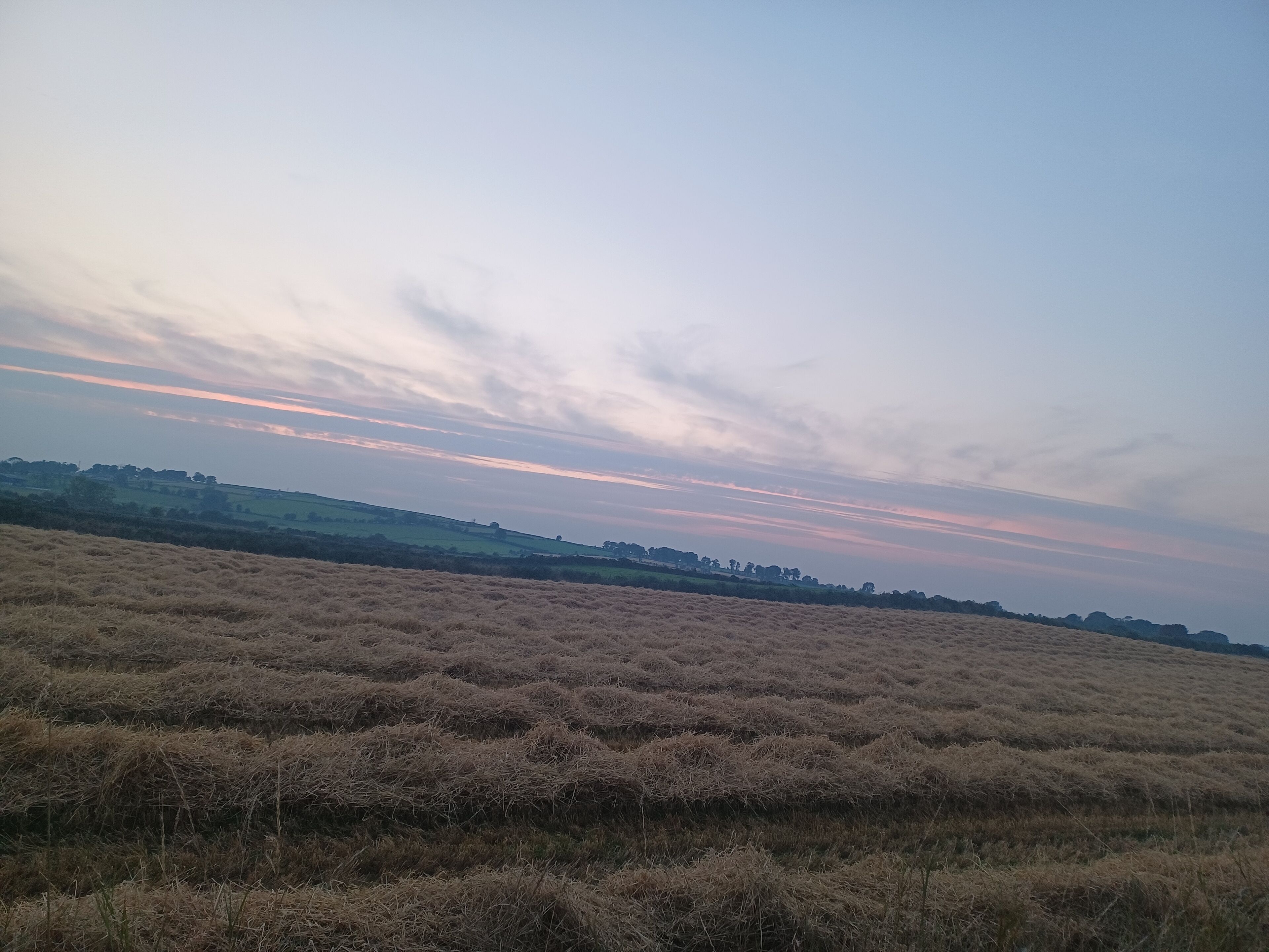 A vast field with haystacks under a clear sky.