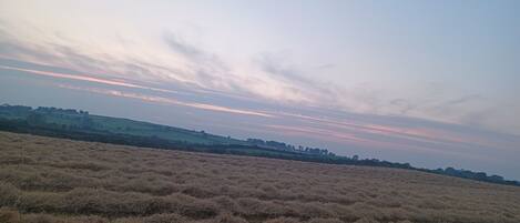 A vast field with haystacks under a clear sky.