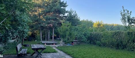 المنطقة المحيطة بالمنشأة