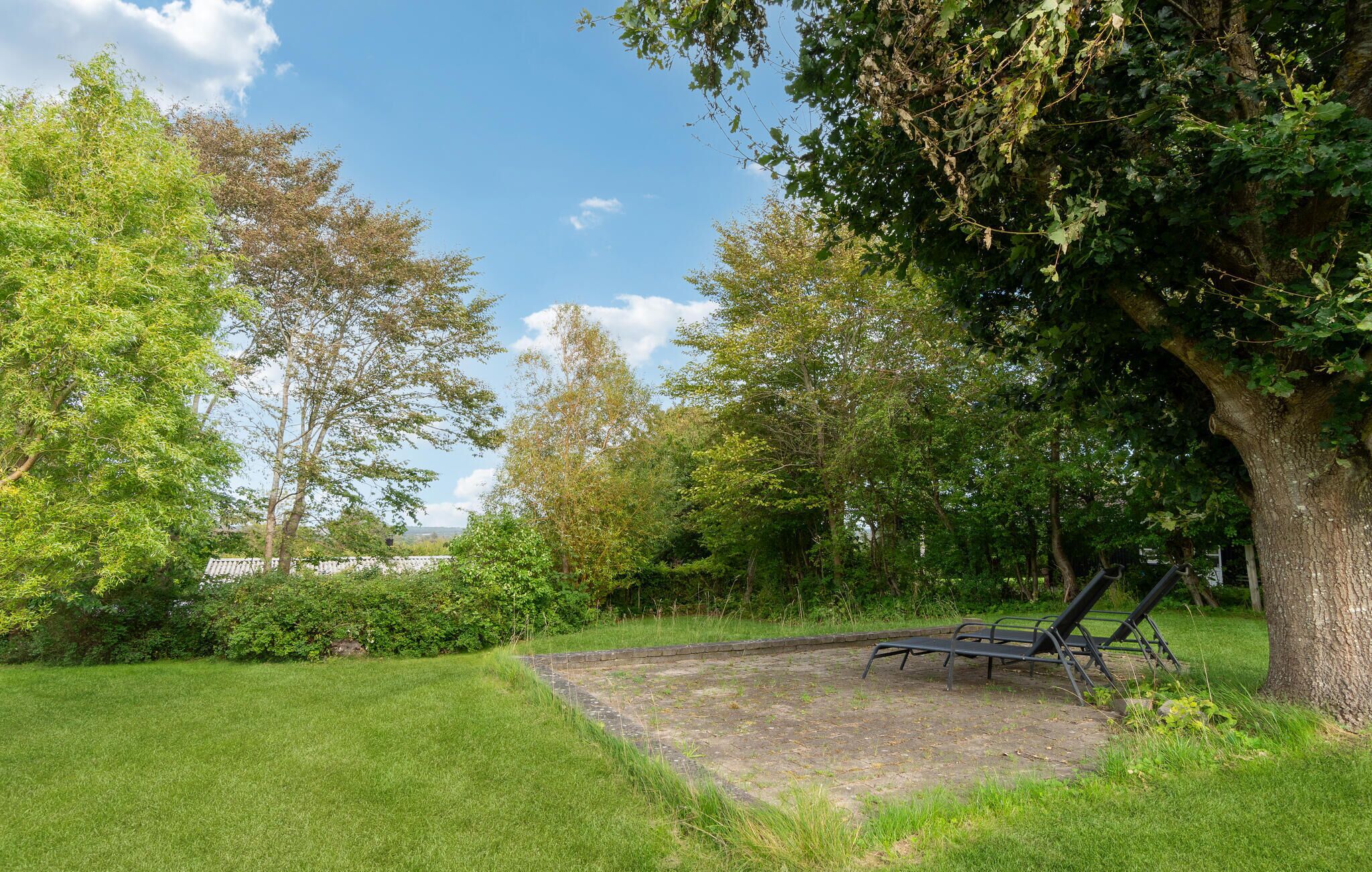 A grassy outdoor area with a paved patio and a metal bench.