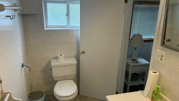 Une salle de bain avec des toilettes, une fenêtre, un lavabo et un miroir.