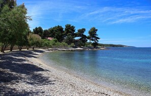 Ein Kiesstrand mit klarem Wasser, Bäumen und einer fernen Küste.