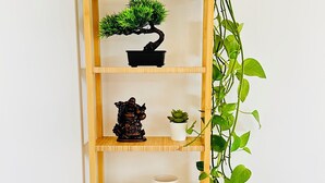 A wooden shelf with a bonsai tree, a small statue, a succulent, a rolled towel, and a white vase. - JABEEN'S HOUSE (Bezons)