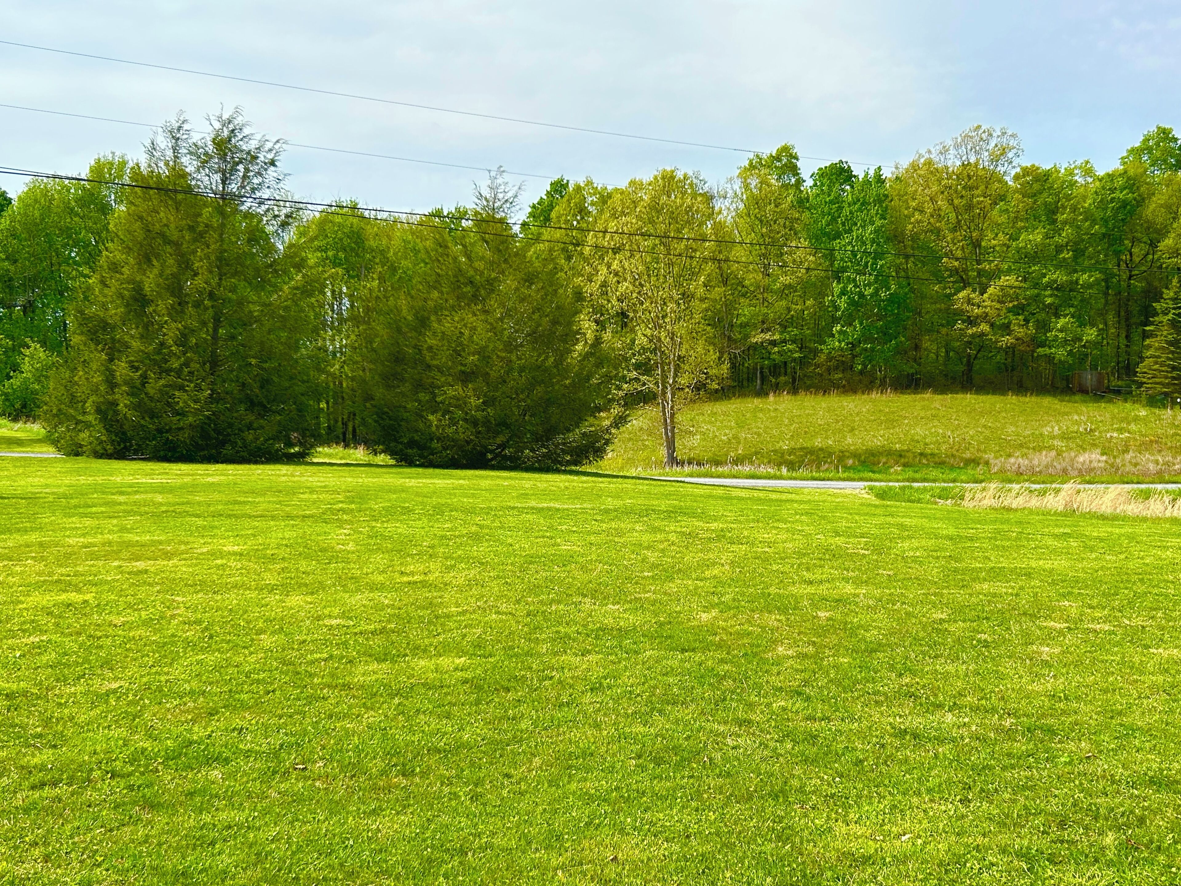 Een grasveld met een klein vijvertje en bomen op de achtergrond.