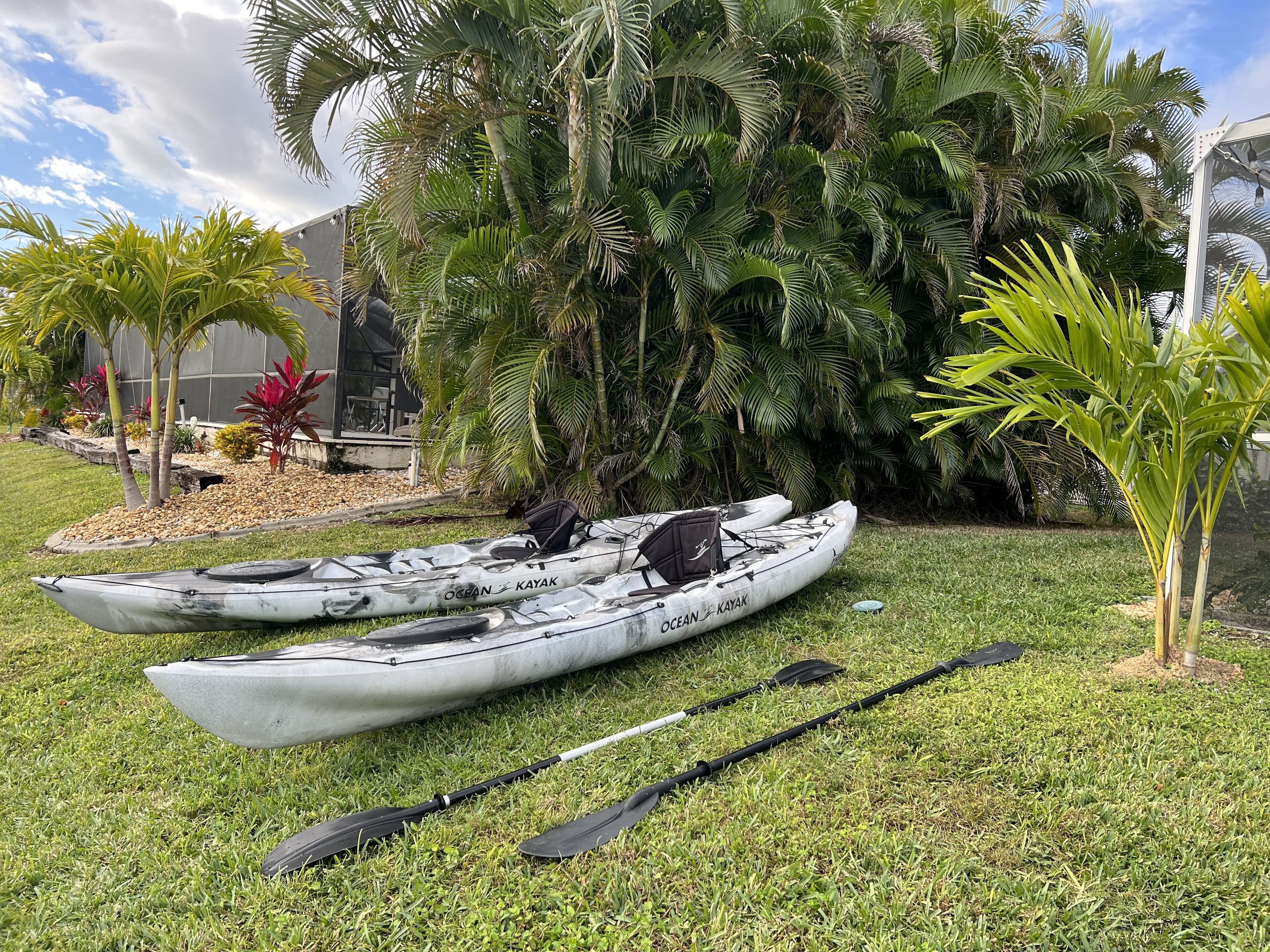 Dos kayaks y remos sobre un c ésped con palmeras y un edificio al fondo.