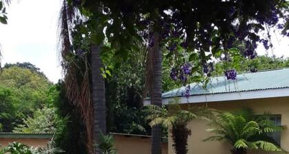 Fatties and Monies Guesthouse