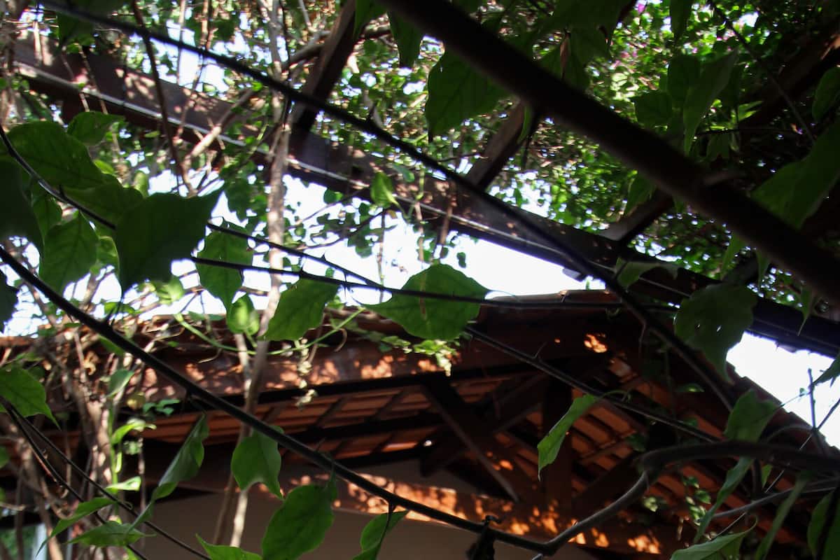 A hammock under a wooden pergola with a view of a building and a bench.