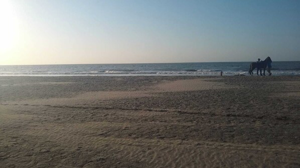 Beach - Apartamento, frente a la playa ,10 minutos aeropuerto10 minutos centro histórico (Cartagena)